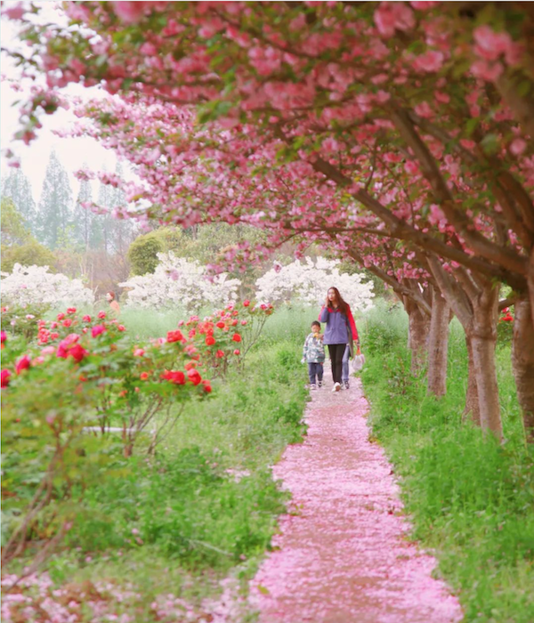 1651733342809913.png 1.png