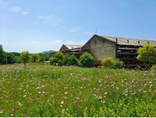 1655437603916327.png 圖片02.png