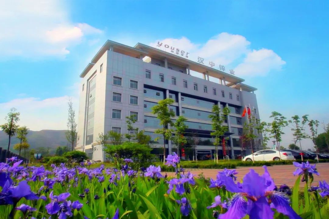 1660005004463445.jpg 091.jpg